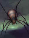 giantspider01.jpg (146987 bytes)